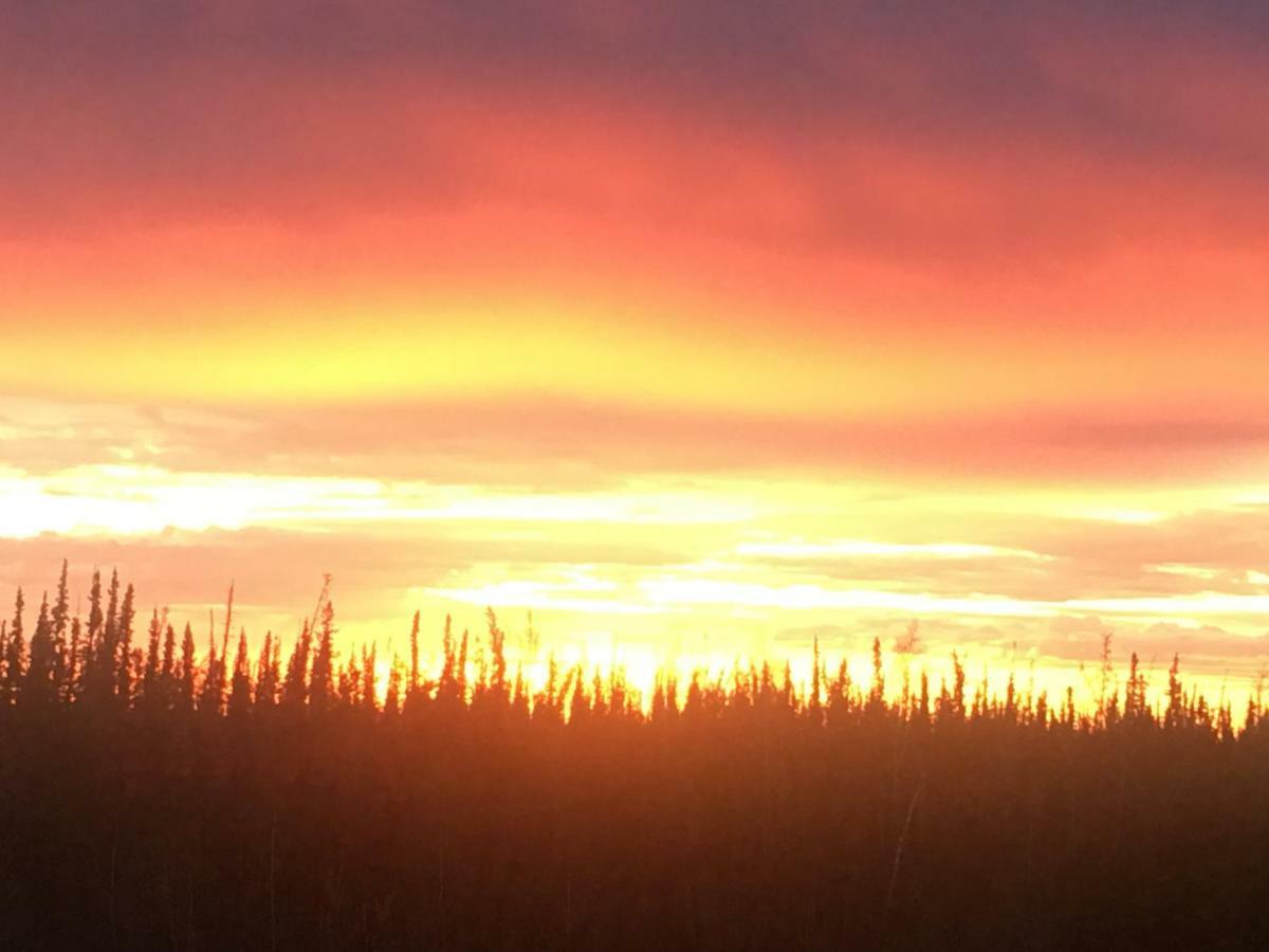 Fireweed Roadhouse Nenana Exterior foto